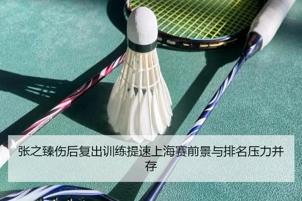 张之臻伤后复出训练提速上海赛前景与排名压力并存